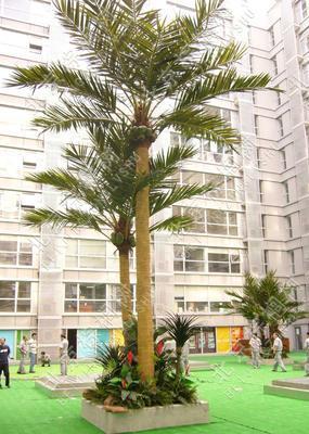银川高质量仿真椰子树产品，为城市景观增添热带风情