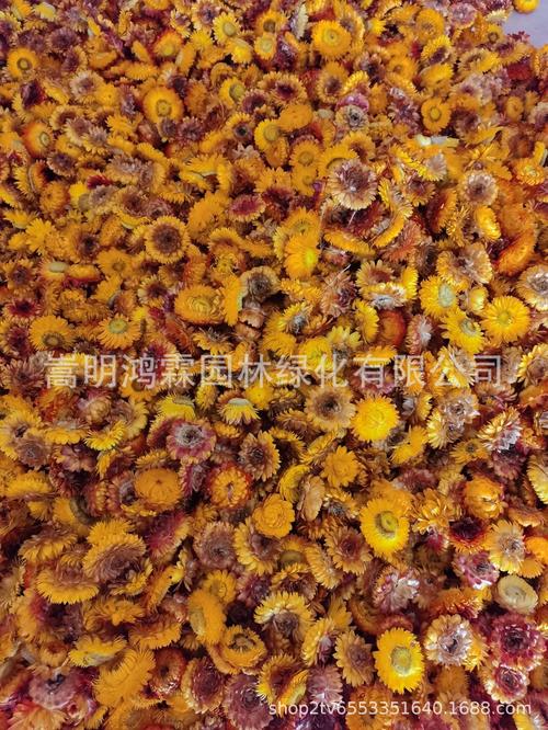 昆明嵩明厂家,品牌,图片,热帖