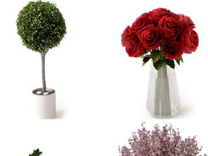 现代绿植盆栽精品陶罐花卉景观设计与资源下载指南